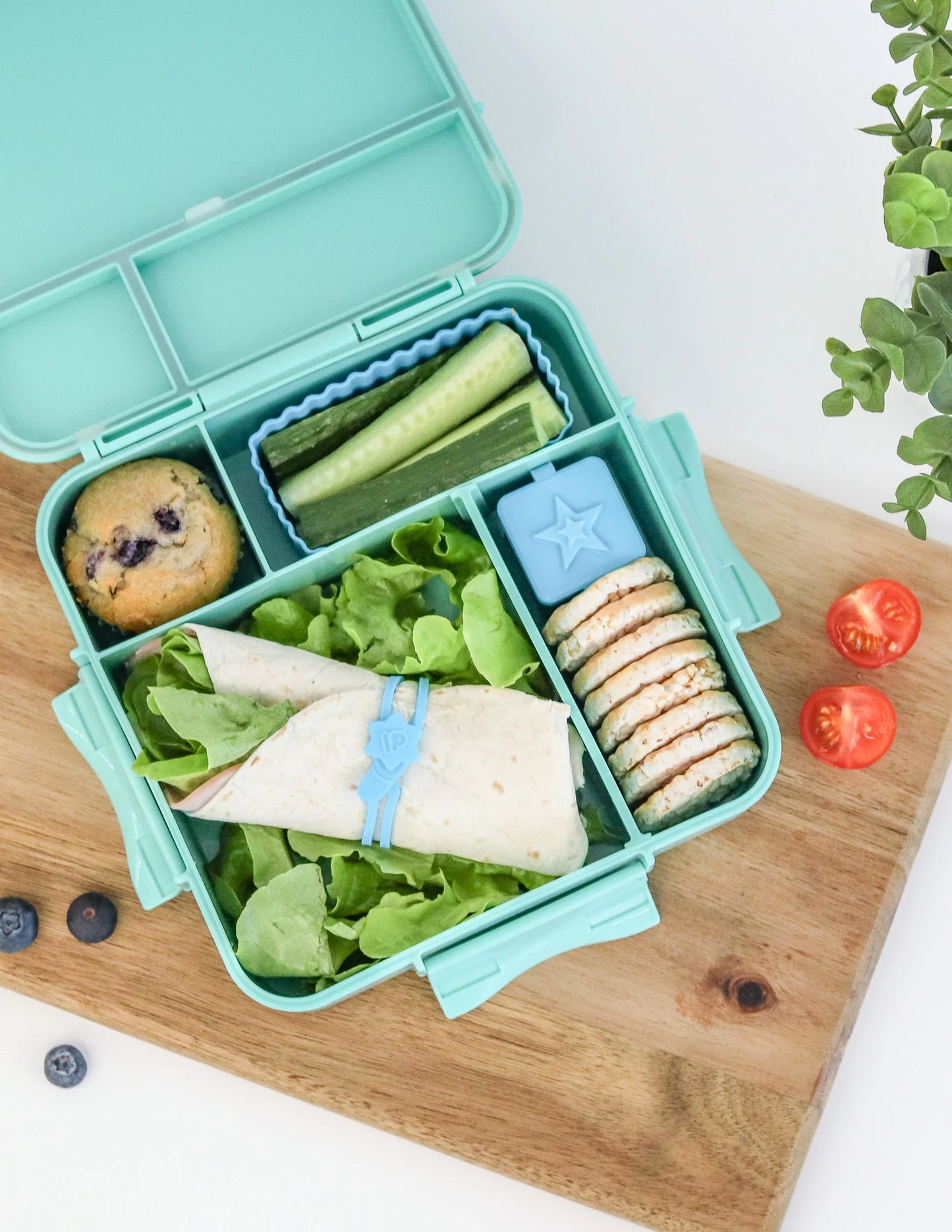 DIP & SAUCE BOXES - COASTAL