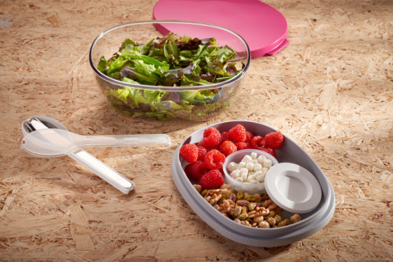 Lunchbox Ellipse Duo - Pink