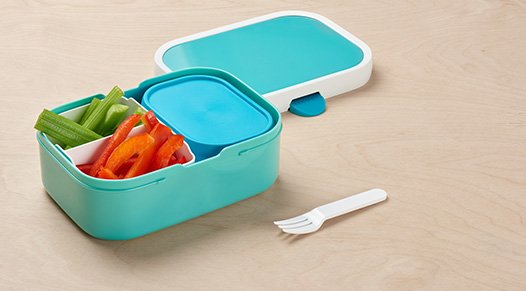 Campus Turquoise bento box
