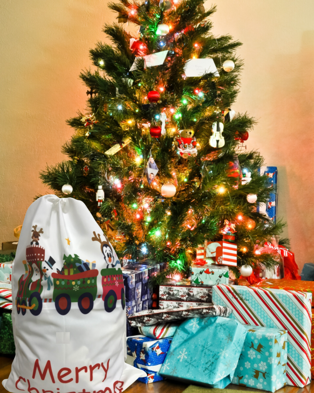 Christmas Sack - Santa's Express