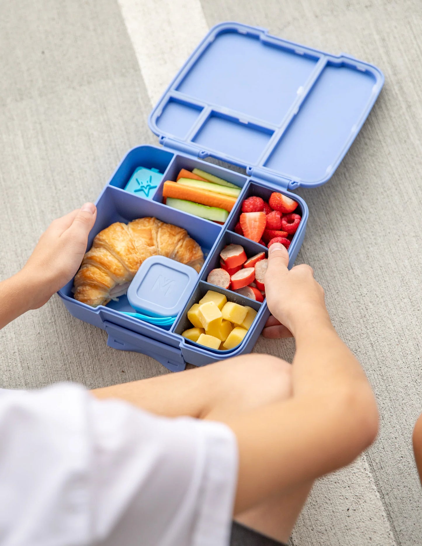 Feast Lunch Box - Splash