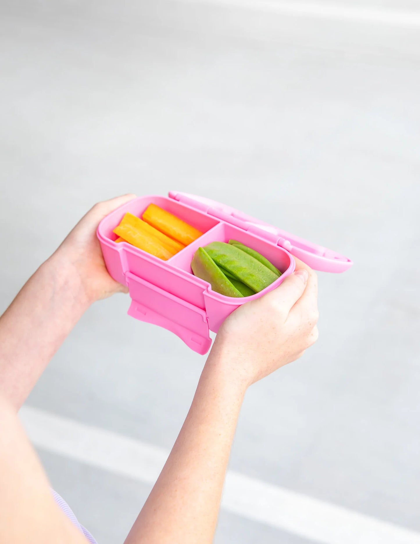 Snack Lunch Box - Floss